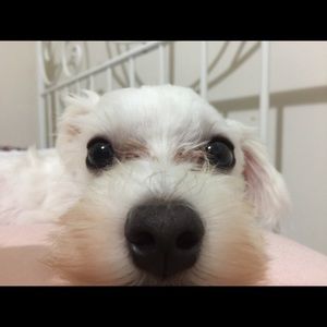 Meet your Posher, Yeo jin